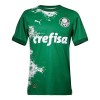 Maillot de Foot Palmeiras Special Edition 2024 Verte Maillot de Foot Palmeiras Special Edition 2024 Verte